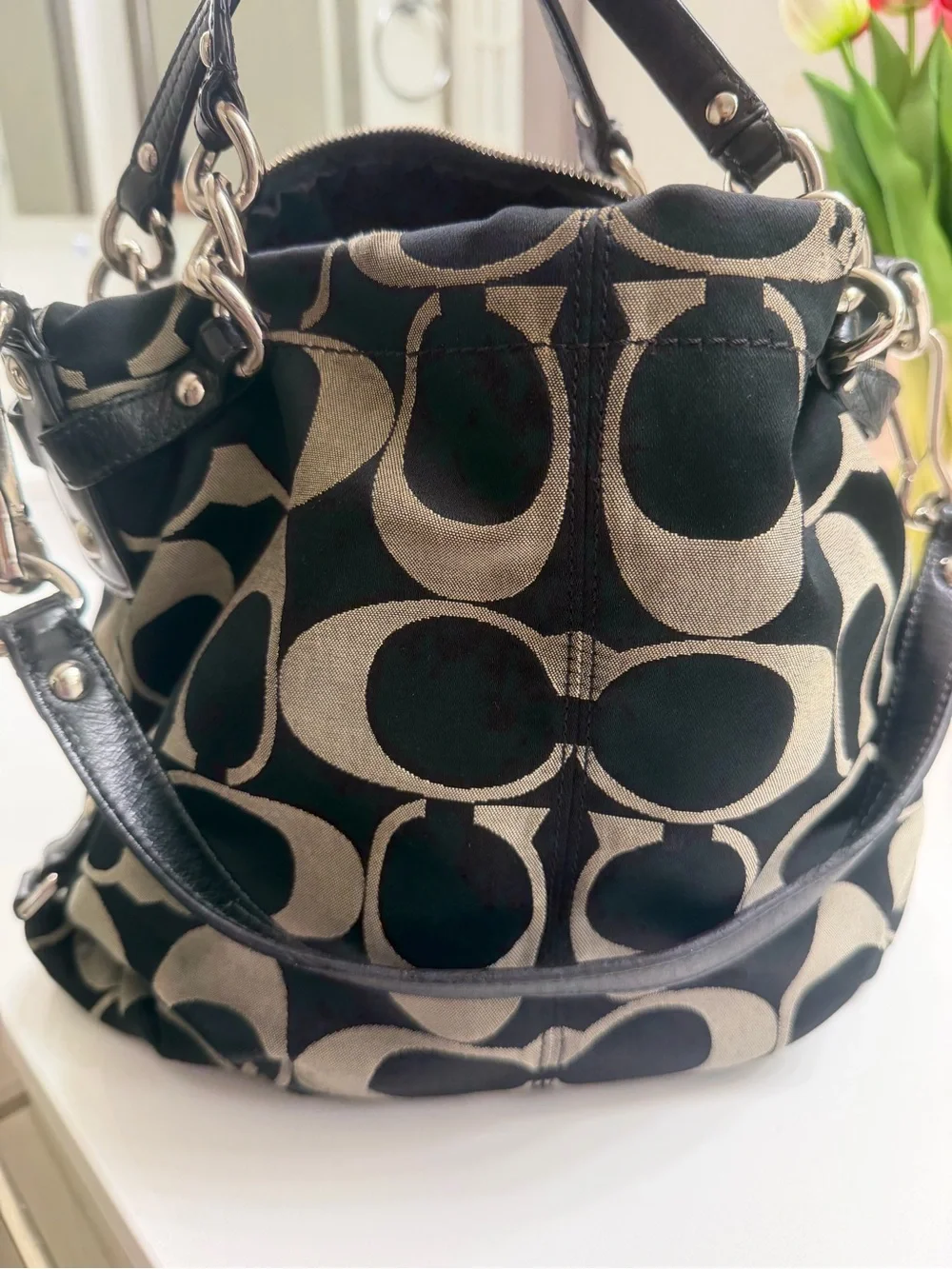 Coach Signature Brooke Canvas